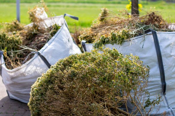 Best Yard Cleanup Services  in University Of Lifornia Davis, CA
